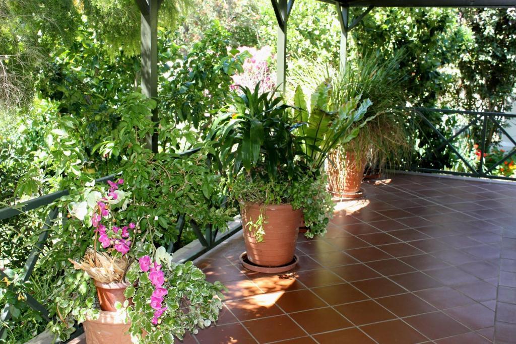 Somerset Lodge Montagu Dış mekan fotoğraf