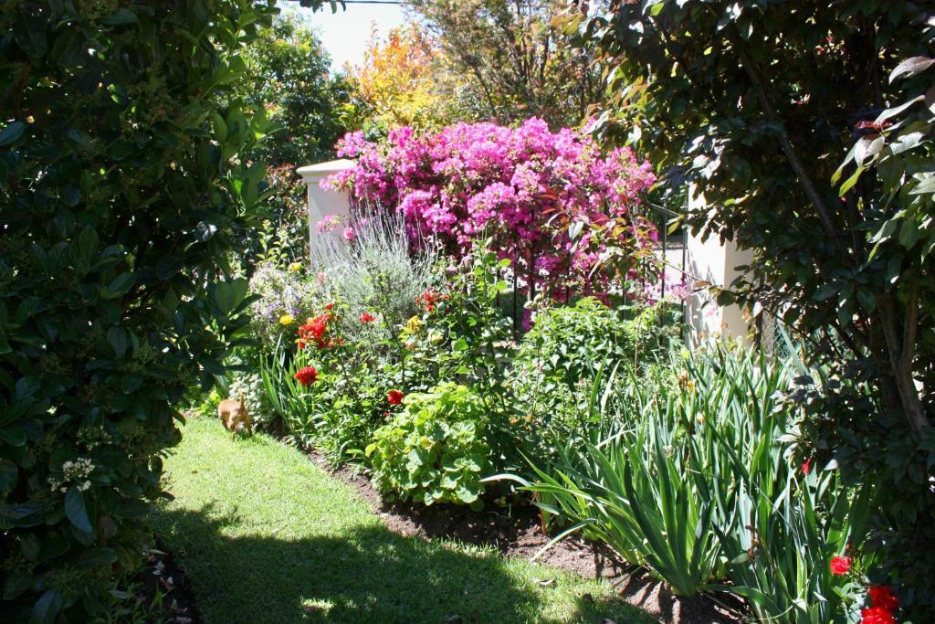 Somerset Lodge Montagu Dış mekan fotoğraf
