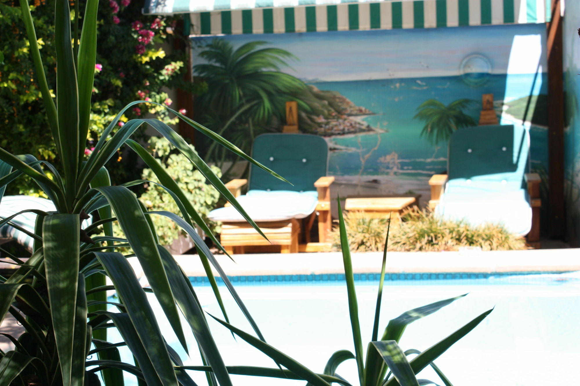 Somerset Lodge Montagu Dış mekan fotoğraf